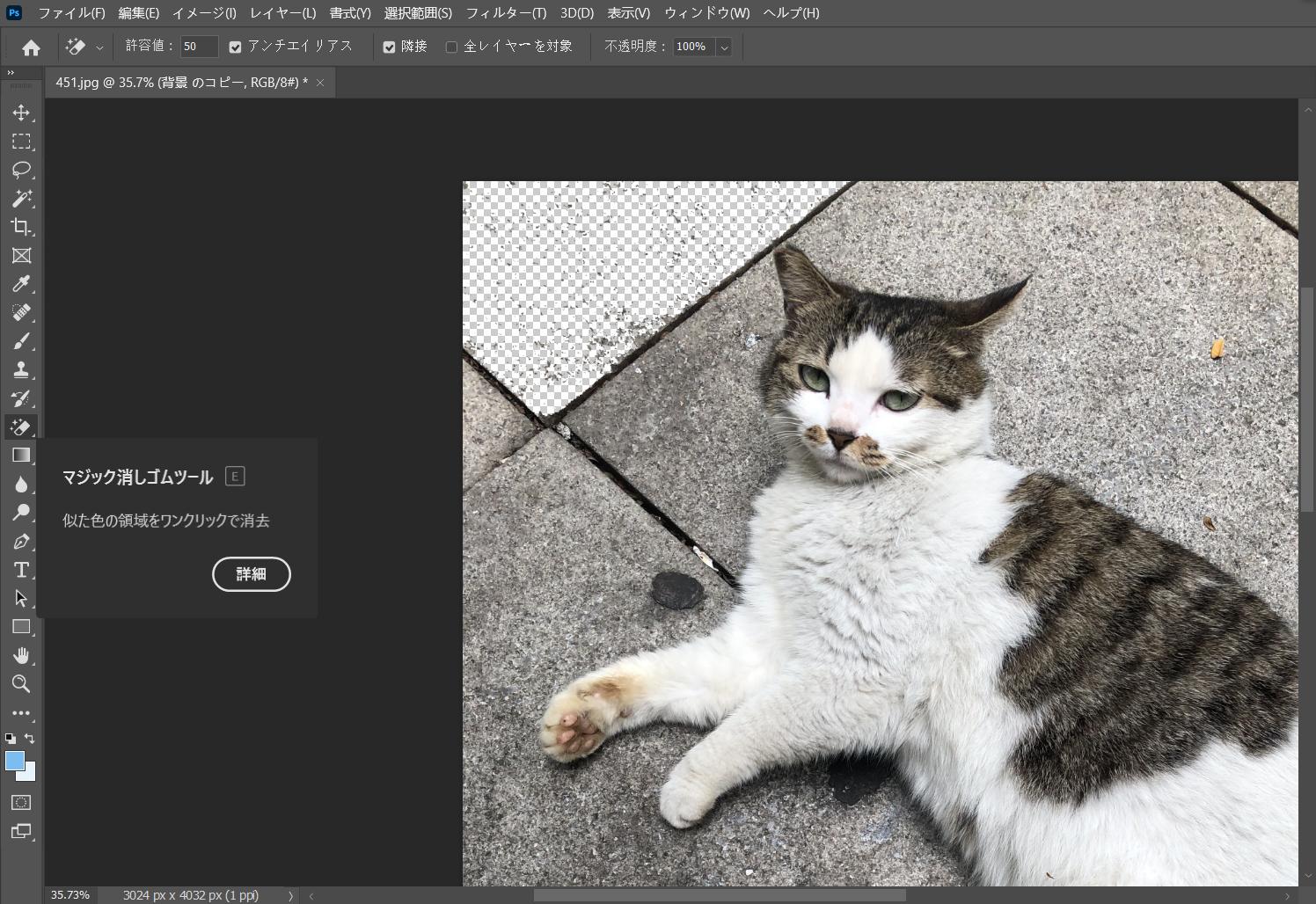 photoshop 背景 透明 に ならない